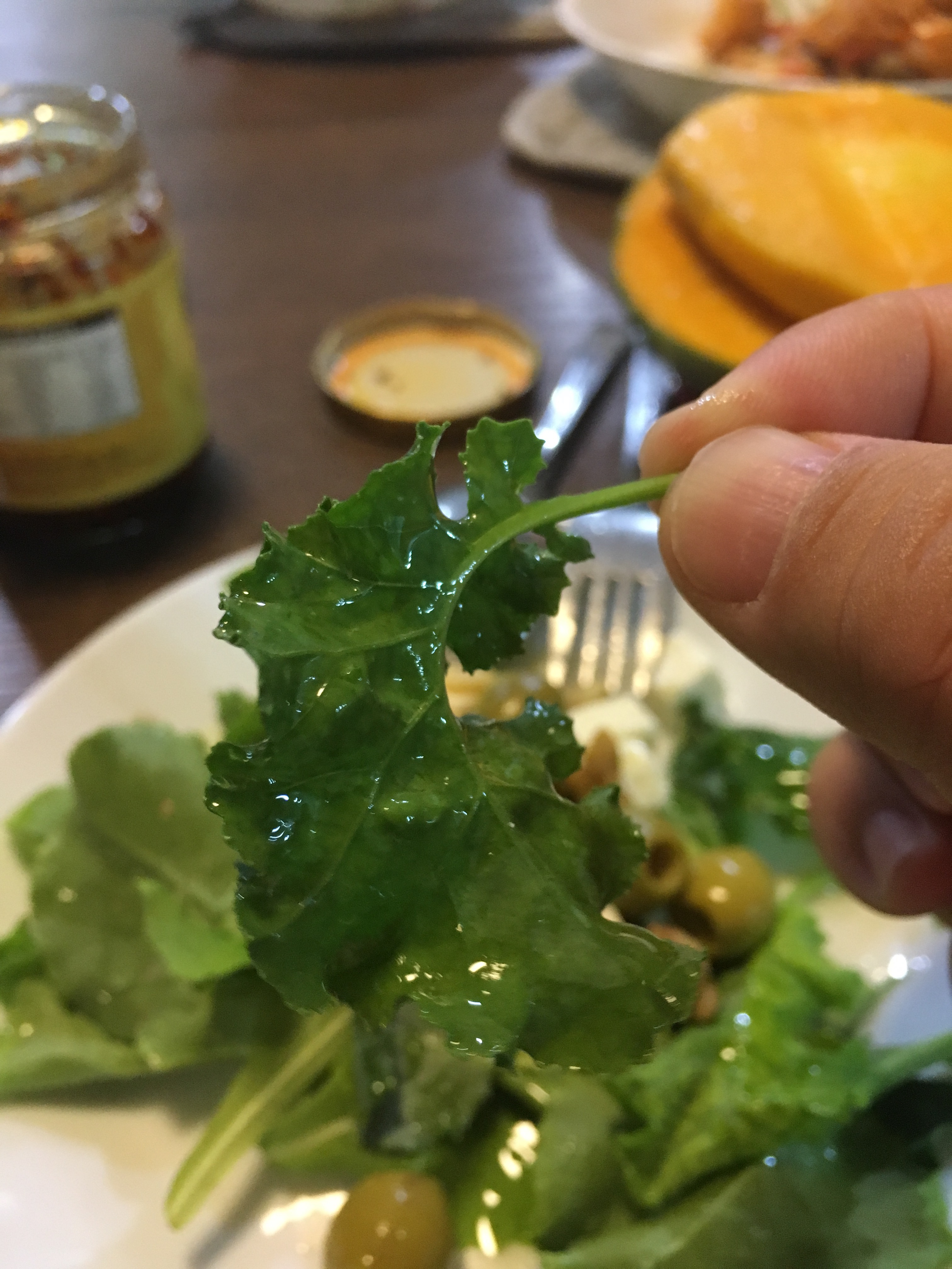Aquaponics Salad