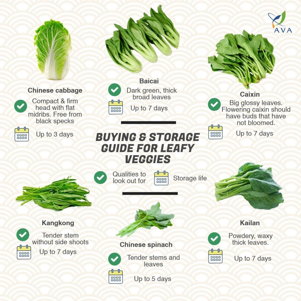 Recommended Storage Life for Veggies