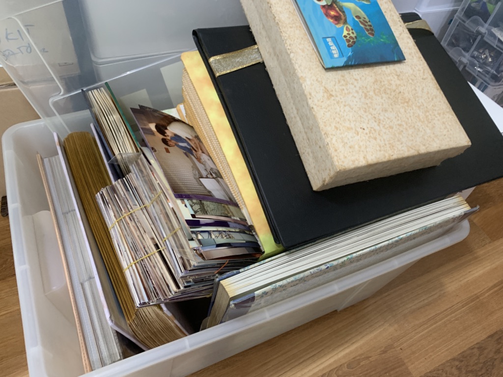 Photo Scanner – Epson Perfection V600